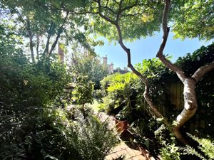 Garden- click for photo gallery